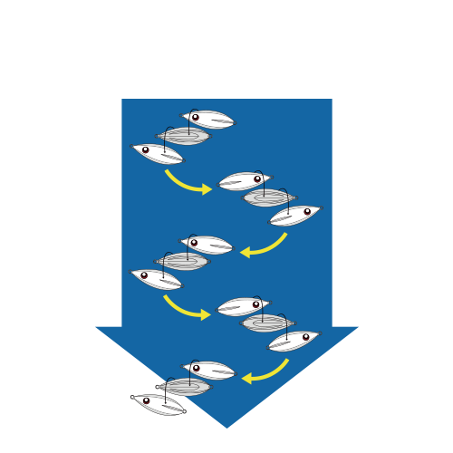 SLOW JIGGING II 慢速鐵板 II 鐵板 500
