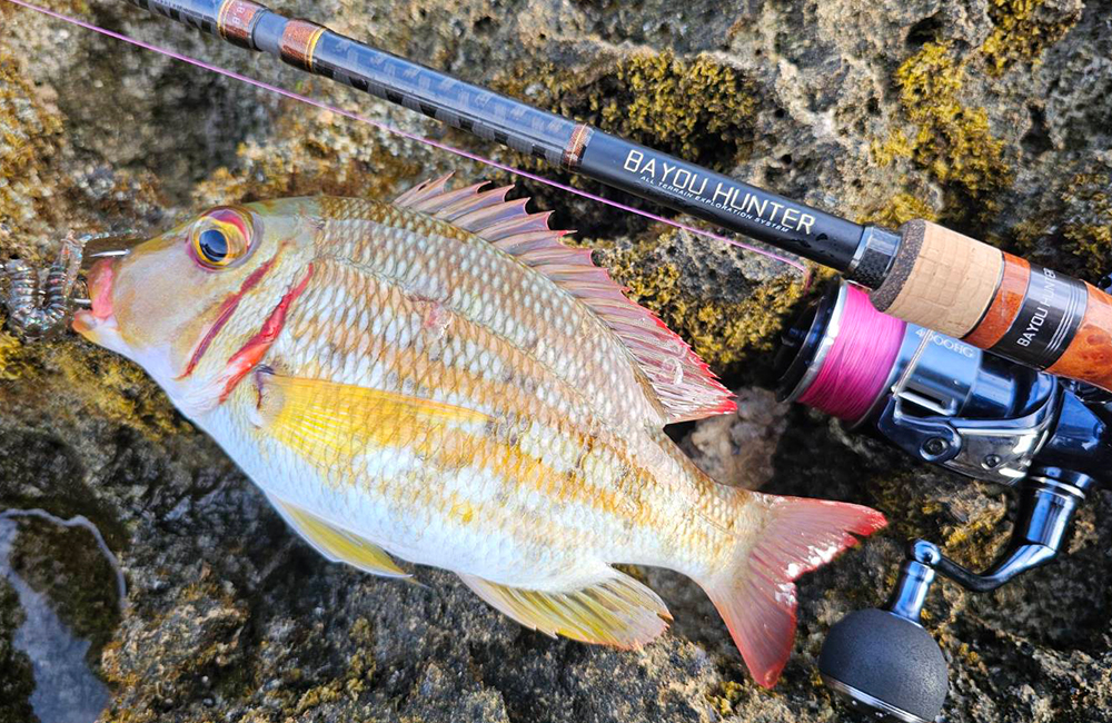 HR BAYOU HUNTER 01
