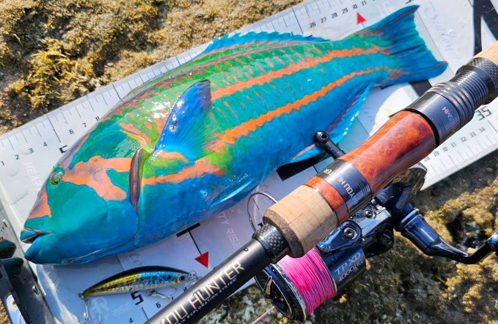 HR BAYOU HUNTER 03