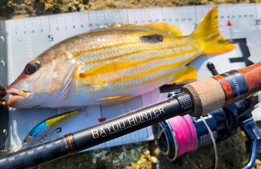 HR BAYOU HUNTER 04