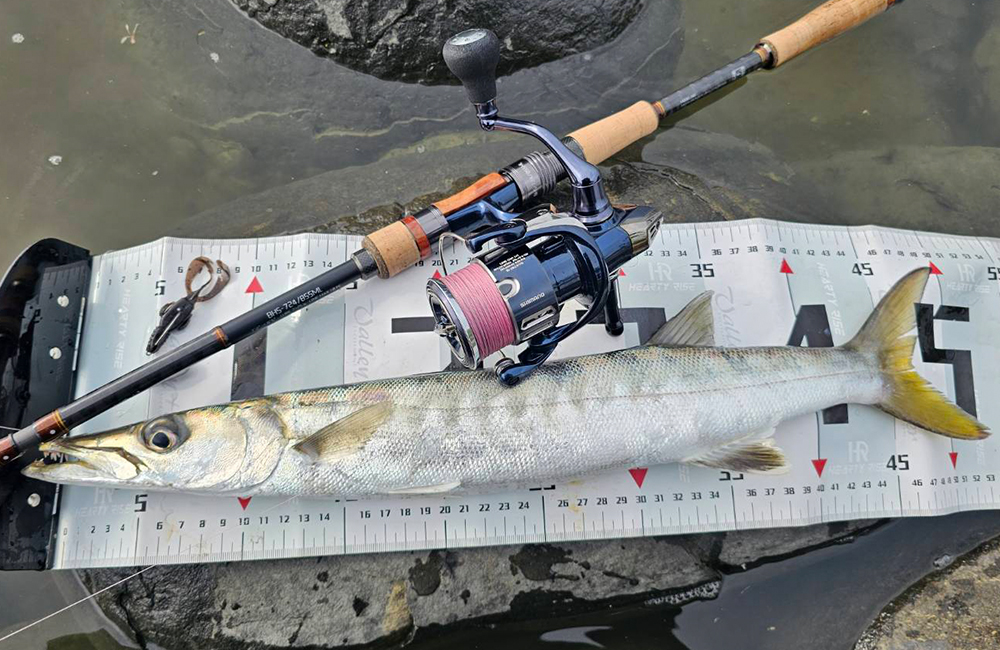 HR BAYOU HUNTER 05