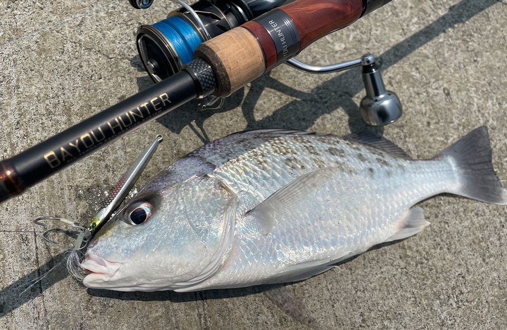 HR BAYOU HUNTER 08