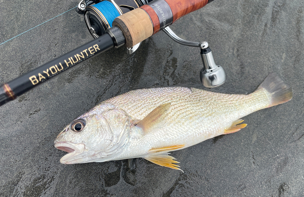 HR BAYOU HUNTER 09