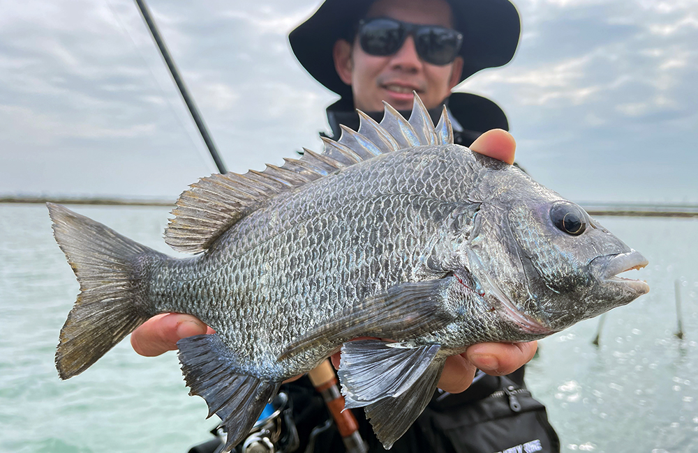 HR BAYOU HUNTER 11